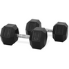 PH Fitness Dumbbells Hexagon Dumbbells 27,5kg