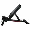 PowerBlock Fitnessbank Power Bench hoek 45 graden