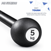 PH Fitness Macebell | Macebell Steel